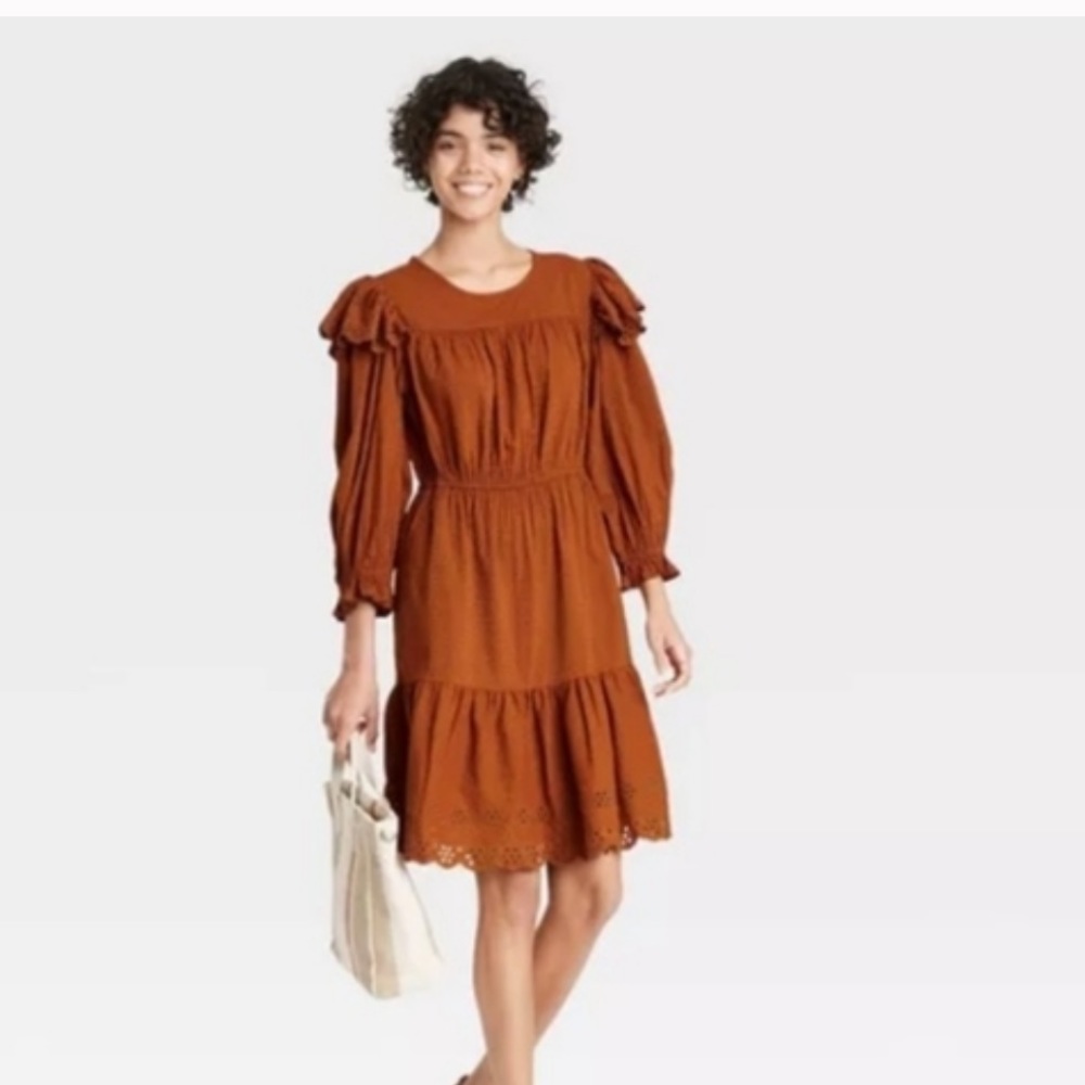 Universal Thread burnt orange dress